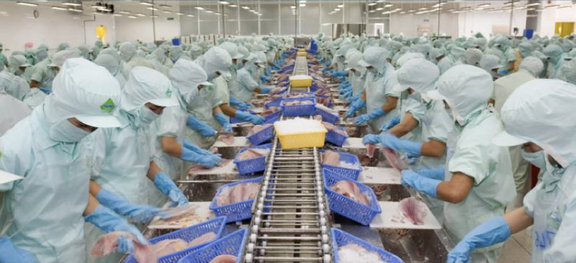 PACKAGING / WAREHOUSE